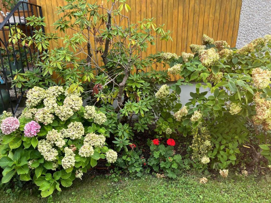 Marinela'S Bnb Wenen Buitenkant foto